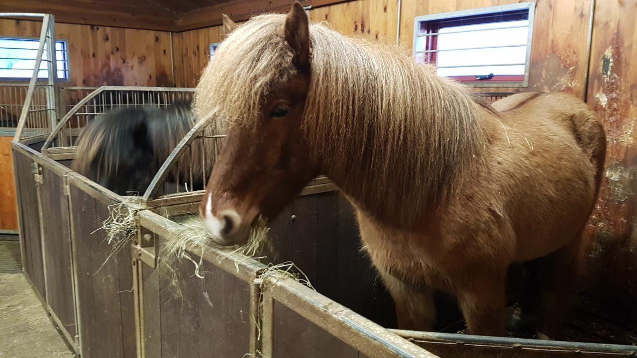 Klara'S Farm Holidays Хелла Экстерьер фото