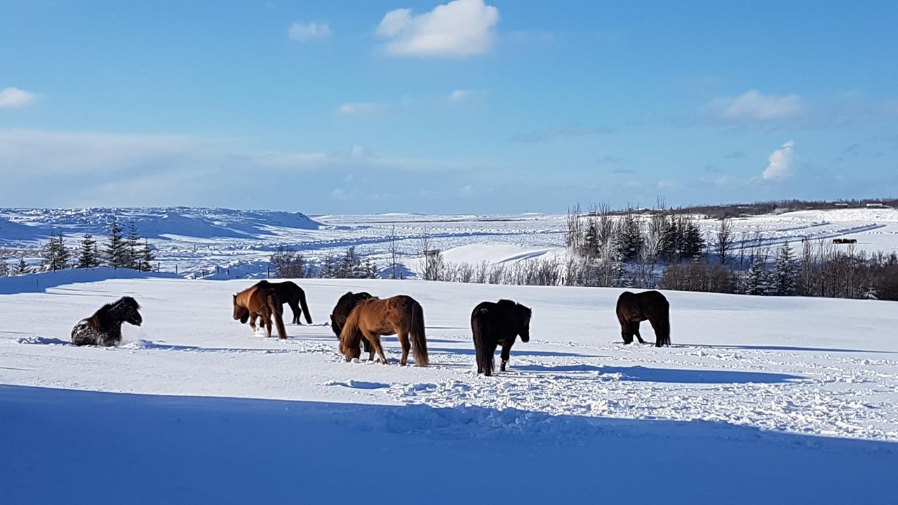 Klara'S Farm Holidays Хелла Экстерьер фото