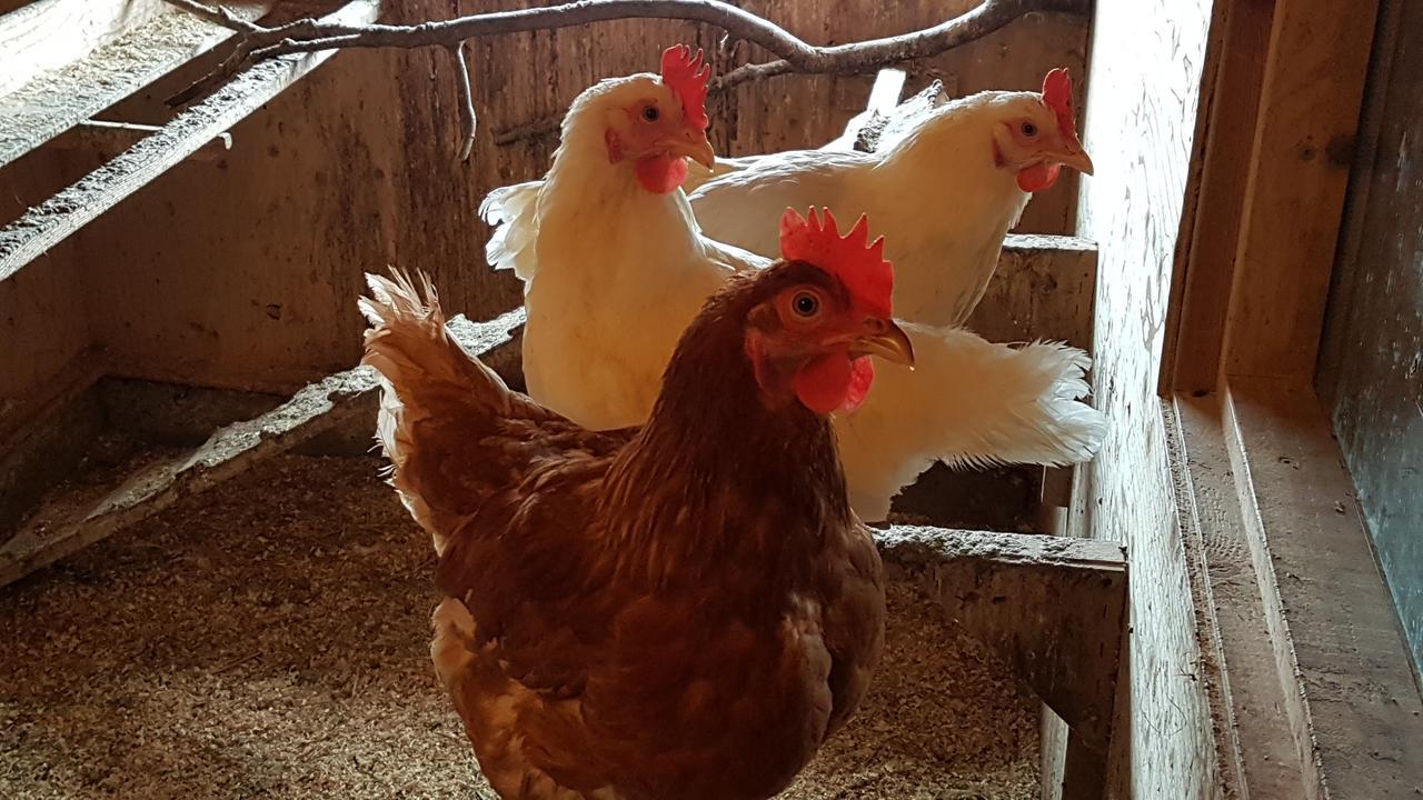 Klara'S Farm Holidays Хелла Экстерьер фото