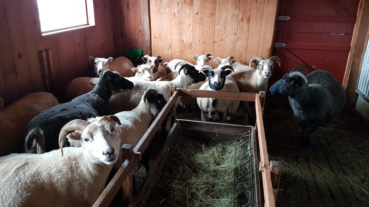 Klara'S Farm Holidays Хелла Экстерьер фото
