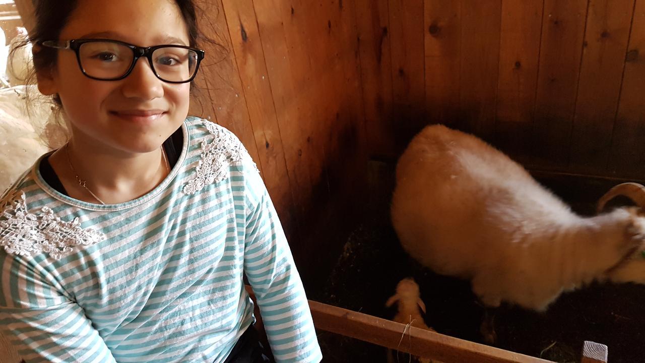 Klara'S Farm Holidays Хелла Экстерьер фото