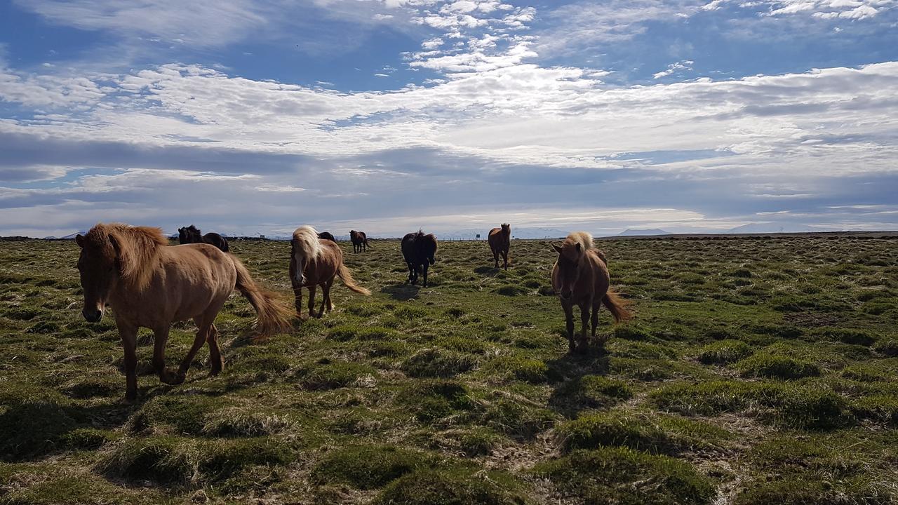 Klara'S Farm Holidays Хелла Экстерьер фото