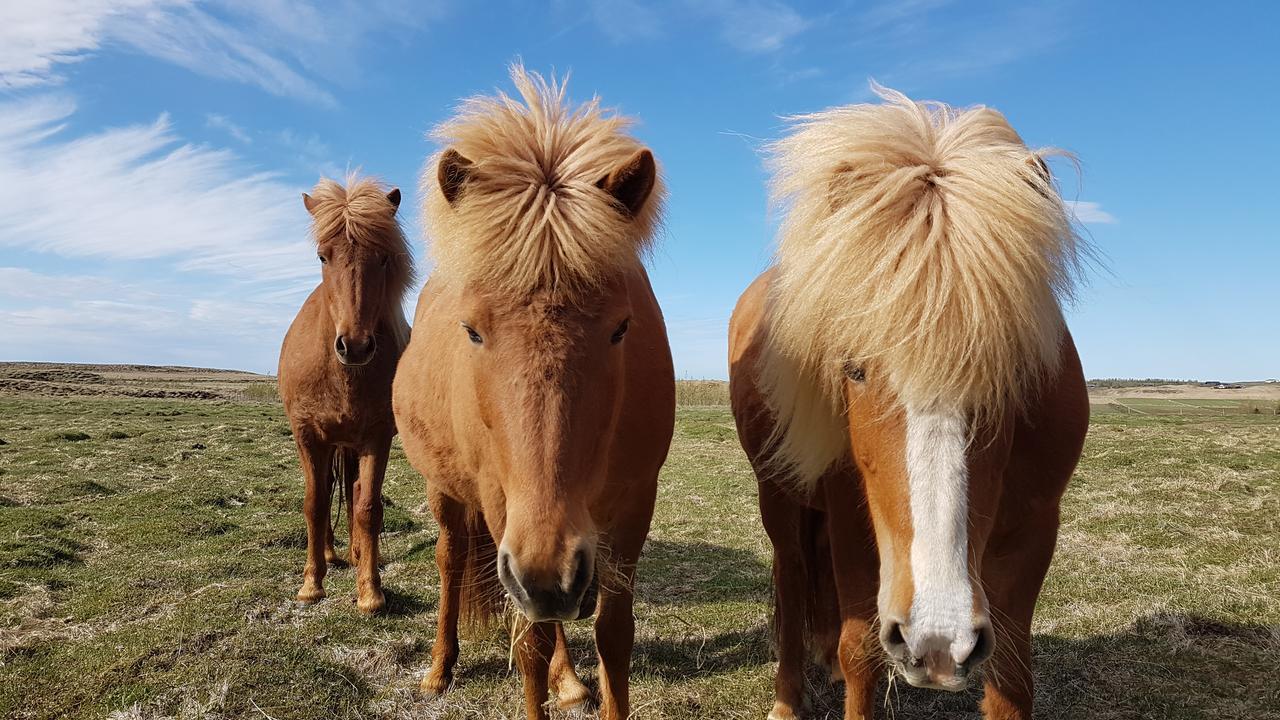Klara'S Farm Holidays Хелла Экстерьер фото