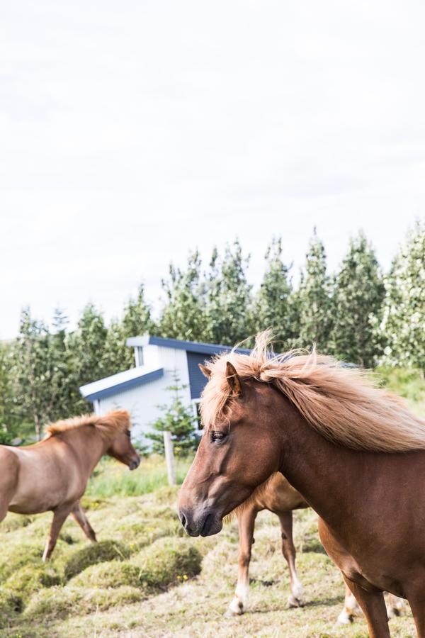 Klara'S Farm Holidays Хелла Экстерьер фото