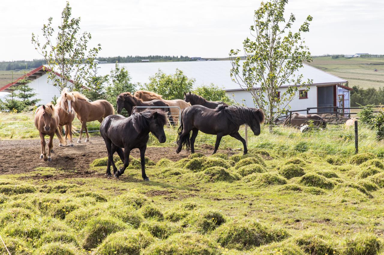 Klara'S Farm Holidays Хелла Экстерьер фото
