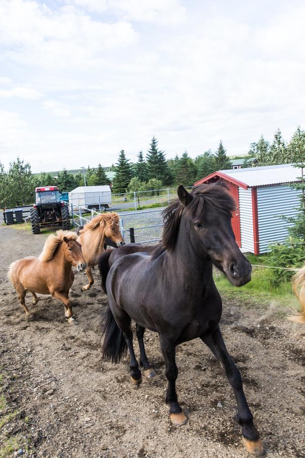 Klara'S Farm Holidays Хелла Экстерьер фото